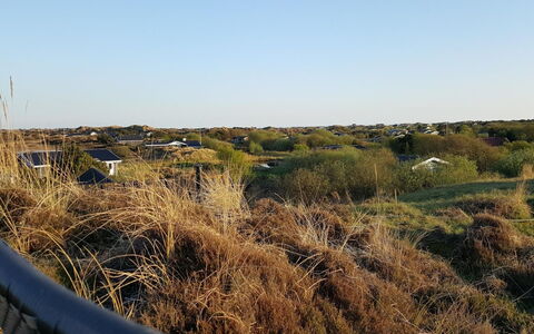Gudrid - 500M from the Sea: Cielo, Azul, Vegetación, Ecorregión, Planta De La Comunidad, Pradera, Shrubland, Luz De Sol, Pradera