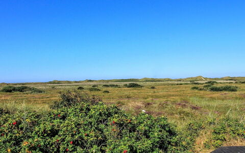 Alim - 300M from the Sea: Cabaña, Cobertizo, \Choza, Casa De Campo, Pradera, Choza, Granero, Cuarto De Troncos, Edificios Del Jardín