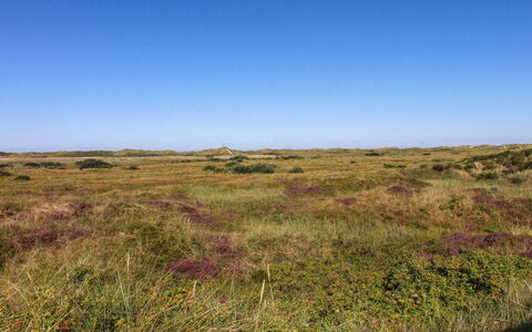 Alim - 300M from the Sea: Cabaña, Cobertizo, \Choza, Casa De Campo, Pradera, Choza, Granero, Cuarto De Troncos, Edificios Del Jardín