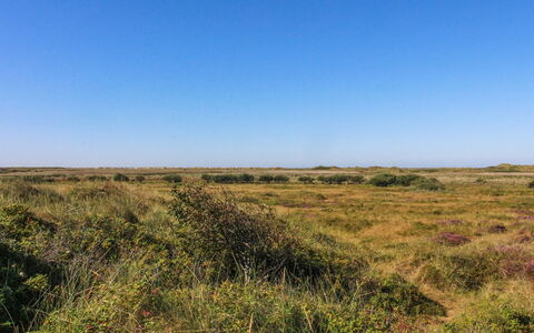Alim - 300M from the Sea: Cabaña, Cobertizo, \Choza, Casa De Campo, Pradera, Choza, Granero, Cuarto De Troncos, Edificios Del Jardín