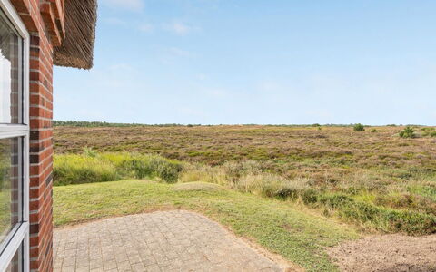 Dietmar - 2.8Km from the Sea: Ecorregión, Llanura, Estepa, Pradera, Shrubland, Rancho, Chaparral