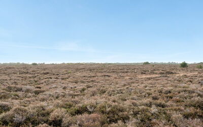 Dietmar - 2.8Km from the Sea