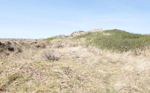 Aise - 75M from the Sea: Techo, El Terreno Del Lote, Cabaña, Casa, Área Rural, Cobertizo, Vía Muerta, Edificios Del Jardín, Cuarto De Troncos, \Choza