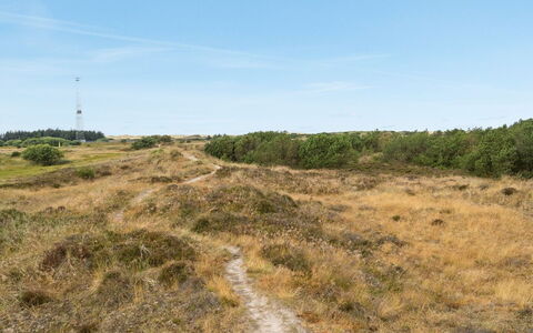 Reiko - 1.5Km from the Sea: Cielo, Hierba, Entorno Natural, Pradera, Vegetación, Ecorregión, Horizonte, Planta De La Comunidad, Desierto, El Terreno Del Lote