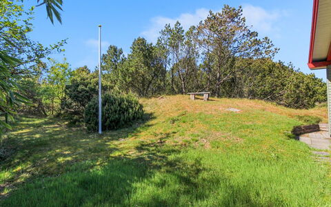 Wyanet - 2.3Km from the Sea: Planta De La Comunidad, Luz De Sol, Planta Herbácea, Jardín, Plantación, Agricultura, Granja