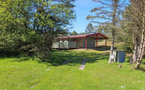 Wyanet - 2.3Km from the Sea: Planta De La Comunidad, Luz De Sol, Planta Herbácea, Jardín, Plantación, Agricultura, Granja