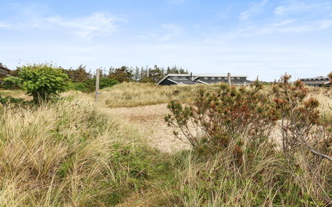 Svenne - 500M from the Sea: Planta De La Comunidad, Luz De Sol, Planta Herbácea, Jardín, Plantación, Agricultura, Granja