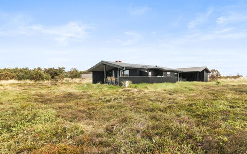 Svenne - 500M from the Sea: Planta De La Comunidad, Luz De Sol, Planta Herbácea, Jardín, Plantación, Agricultura, Granja