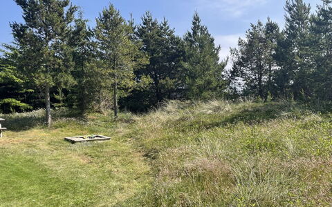 Felicia - 800M from the Sea: Hierba, Árbol, Entorno Natural, Vegetación, Pradera, Arbusto, Planta De La Comunidad, El Terreno Del Lote, Llanura, Pasto