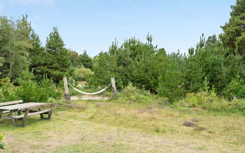Elayne - 3Km from the Sea: Planta De La Comunidad, Luz De Sol, Planta Herbácea, Jardín, Plantación, Agricultura, Granja
