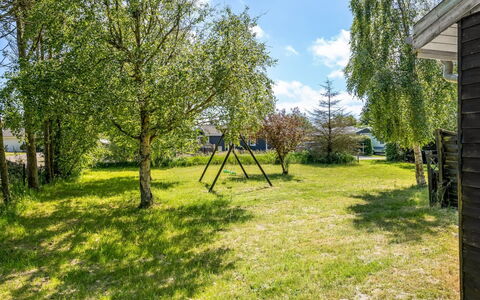 Gerwin - 3Km from the Sea: Planta De La Comunidad, Luz De Sol, Planta Herbácea, Jardín, Plantación, Agricultura, Granja