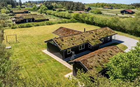 Ricus - 1.8Km from the Sea: Planta De La Comunidad, Luz De Sol, Planta Herbácea, Jardín, Plantación, Agricultura, Granja