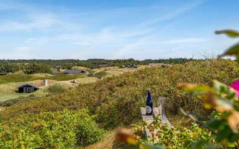 Ejnarine - 300M from the Sea: Cielo, Verde, Vegetación, Arbusto, Planta De La Comunidad, Paisaje, El Terreno Del Lote, Área Rural, Cobertura Del Suelo