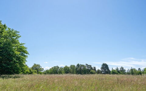 Naira - 1.8Km from the Sea: Madera, Techo, Arquitectura, Casa, Casa, Cabaña, Vía Muerta, Madera Dura, Pendiente, Inmuebles