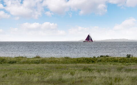 Alexis - 250M from the Sea: Cielo, Barco, Velero, Horizonte, Ecorregión, Watercraft, Mástil, Mar, Navegación