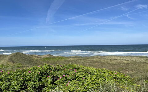 Carelle - 300M from the Sea: Azul, Agua, Cuerpo De Agua, Verde, Entorno Natural, Costa, Horizonte, Mar, Verano