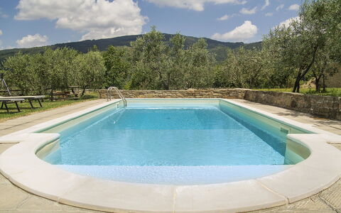 Orangerie Degli Ulivi: Agua, Nube, Cielo, Propiedad, Piscina, Azur, Planta, Árbol, Rectángulo, Sombra