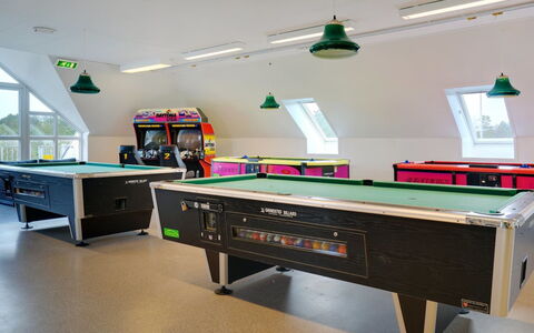Urmas - 1Km from the Sea: Juegos Y Deportes De Interior, Piscina, Mesa De Billar, Sala De Billar, Salón De Recreo, Diseño De Interiores, Equipo Deportivo, Encendiendo