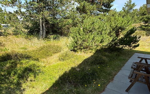 Absolon - 1.5Km from the Sea: Hierba, Vegetación, Arbusto, Planta De La Comunidad, El Terreno Del Lote, Cobertura Del Suelo, Jardín, Plantas Leñosas, Césped