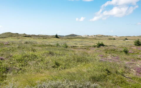 Dorothea - 450M to the Fjord: Cielo, Azul, Hierba, Pradera, Entorno Natural, Ecorregión, Vegetación, Nube, Llanura, Horizonte