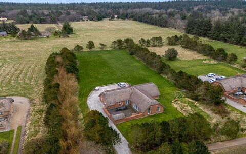 Aane - 1.8Km from the Sea: Planta De La Comunidad, Luz De Sol, Planta Herbácea, Jardín, Plantación, Agricultura, Granja