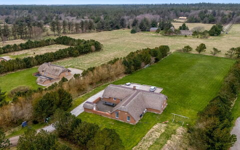 Aane - 1.8Km from the Sea: Planta De La Comunidad, Luz De Sol, Planta Herbácea, Jardín, Plantación, Agricultura, Granja
