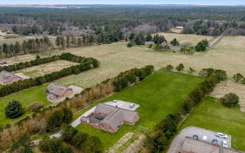 Aane - 1.8Km from the Sea: Planta De La Comunidad, Luz De Sol, Planta Herbácea, Jardín, Plantación, Agricultura, Granja