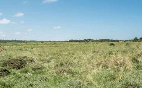 Tayanita - 750M from the Sea: Techo, El Terreno Del Lote, Cabaña, Casa, Área Rural, Cobertizo, Vía Muerta, Edificios Del Jardín, Cuarto De Troncos, \Choza