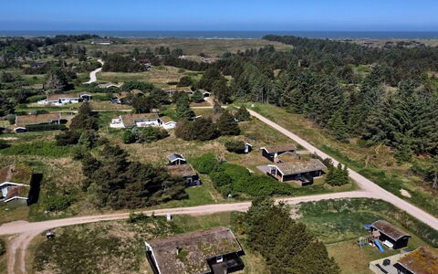 Anthonia - 1.6Km from the Sea: Planta De La Comunidad, Luz De Sol, Planta Herbácea, Jardín, Plantación, Agricultura, Granja