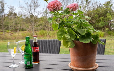 Birette - 1.5Km from the Sea: Maceta, Jardín, Planta De Casa, Hierba, Florero