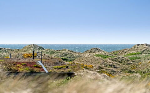 Ehawee - 350M from the Sea: Techo, El Terreno Del Lote, Cabaña, Casa, Área Rural, Cobertizo, Vía Muerta, Edificios Del Jardín, Cuarto De Troncos, \Choza