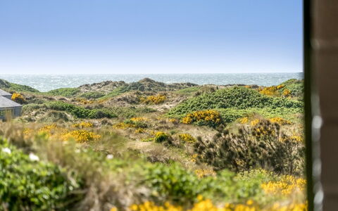 Ehawee - 350M from the Sea: Techo, El Terreno Del Lote, Cabaña, Casa, Área Rural, Cobertizo, Vía Muerta, Edificios Del Jardín, Cuarto De Troncos, \Choza