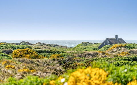 Ehawee - 350M from the Sea: Techo, El Terreno Del Lote, Cabaña, Casa, Área Rural, Cobertizo, Vía Muerta, Edificios Del Jardín, Cuarto De Troncos, \Choza