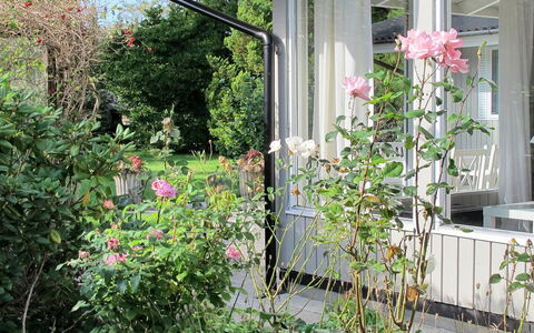 Claudette - 1Km from the Sea: Flor, Arbusto, Rosado, Jardín, Pétalo, Planta De La Comunidad, Rosas De Jardín, Primavera, Planta Floreciendo