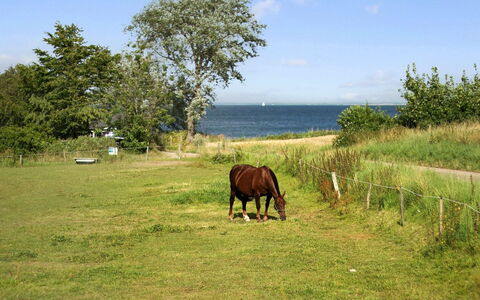 Ady - 150M from the Sea: Techo, Casa, El Terreno Del Lote, Casa, Cabaña, Inmuebles, Edificios Del Jardín, Sombra, Cuarto De Troncos, Paisajismo