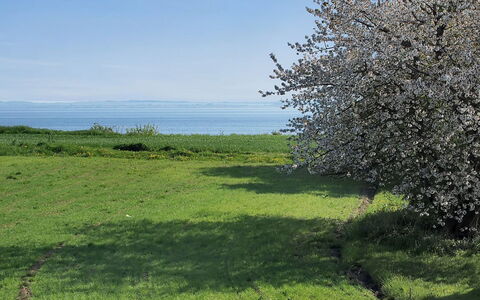 Ady - 150M from the Sea: Techo, Casa, El Terreno Del Lote, Casa, Cabaña, Inmuebles, Edificios Del Jardín, Sombra, Cuarto De Troncos, Paisajismo