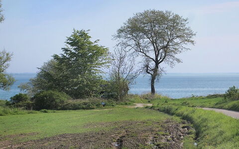 Ady - 150M from the Sea: Techo, Casa, El Terreno Del Lote, Casa, Cabaña, Inmuebles, Edificios Del Jardín, Sombra, Cuarto De Troncos, Paisajismo