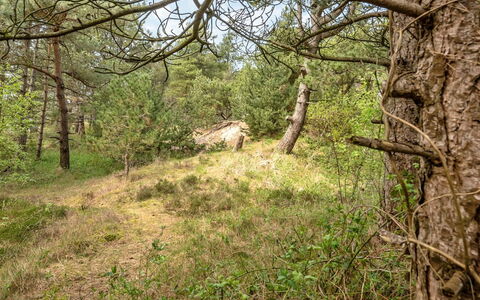 Solvey - 2Km from the Sea