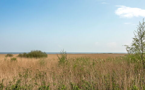 Solvey - 2Km from the Sea