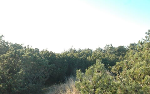 Jon - 400M from the Sea: Techo, El Terreno Del Lote, Cabaña, Casa, Área Rural, Cobertizo, Vía Muerta, Edificios Del Jardín, Cuarto De Troncos, \Choza