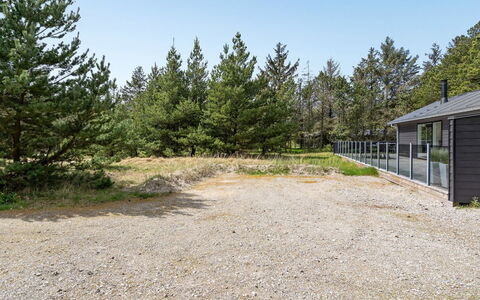 Arnetta - 1.5Km from the Sea: Planta De La Comunidad, Luz De Sol, Planta Herbácea, Jardín, Plantación, Agricultura, Granja
