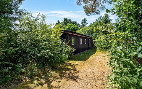 Fot - 7Km from the Sea: Vegetación, Arbusto, Paisaje, Planta De La Comunidad, El Terreno Del Lote, Área Rural, Jardín, Cabaña, Edificios Del Jardín