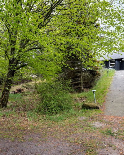 Hilke - 850M from the Sea
