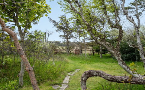 Helny - 300M from the Sea: Rama, Hoja, Árbol, Hierba, Naturaleza, Entorno Natural, Vegetación, Paisaje Natural, Pradera