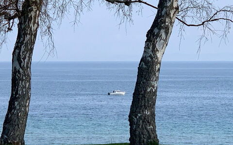 Vanta - 10M from the Sea: Techo, El Terreno Del Lote, Cabaña, Casa, Área Rural, Cobertizo, Vía Muerta, Edificios Del Jardín, Cuarto De Troncos, \Choza