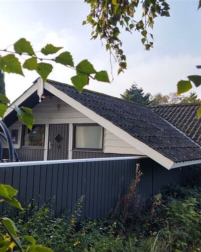 Rieke - 300M from the Sea