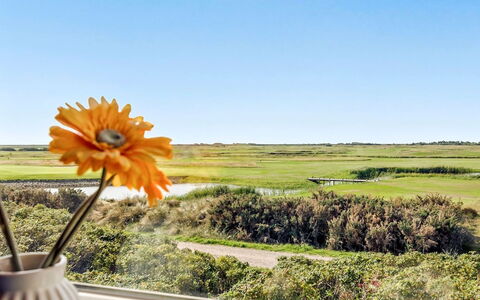 Gerharde - 2.3Km from the Sea: Mar, Oceano, Costa, Pradera, Flor Silvestre