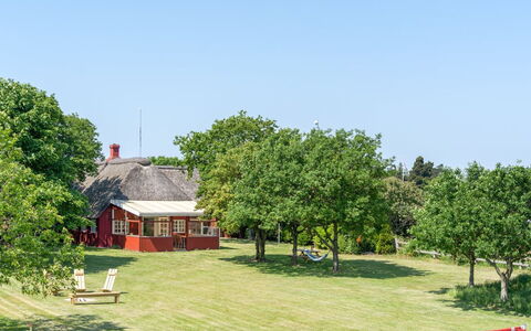 Edelgard - 4.5Km from the Sea: Árbol, Hierba, Llanura, Paisaje, Pradera, Área Rural, El Terreno Del Lote, Césped, Cabaña