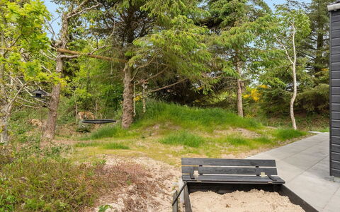 Antonina - 800M from the Sea: Madera, Vegetación, Arbusto, Planta De La Comunidad, El Terreno Del Lote, Cobertura Del Suelo, Bosque, Jardín, Sendero