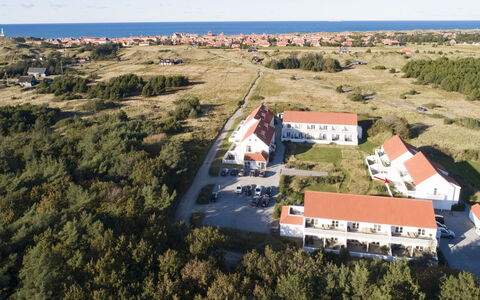 Thorgrim - 800M from the Sea: Planta De La Comunidad, Luz De Sol, Planta Herbácea, Jardín, Plantación, Agricultura, Granja